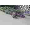 Sky Jewelry Серебряное кольцо *FLOWER* с камнями Аметист, Цитрин и Спессартит