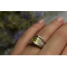 Sky Jewelry Серебряное кольцо 925 пробы с Желтым Сапфиром
