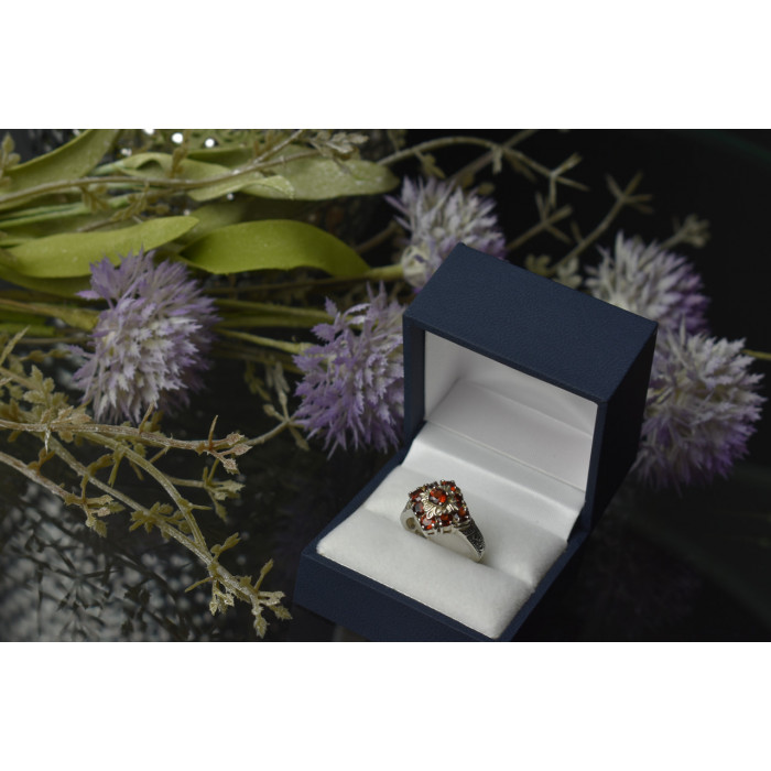 Sky Jewelry Серебряное кольцо 925 пробы с Альмандином