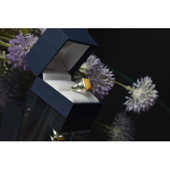 Sky Jewelry Серебряное кольцо 925 пробы с камнем Яшма