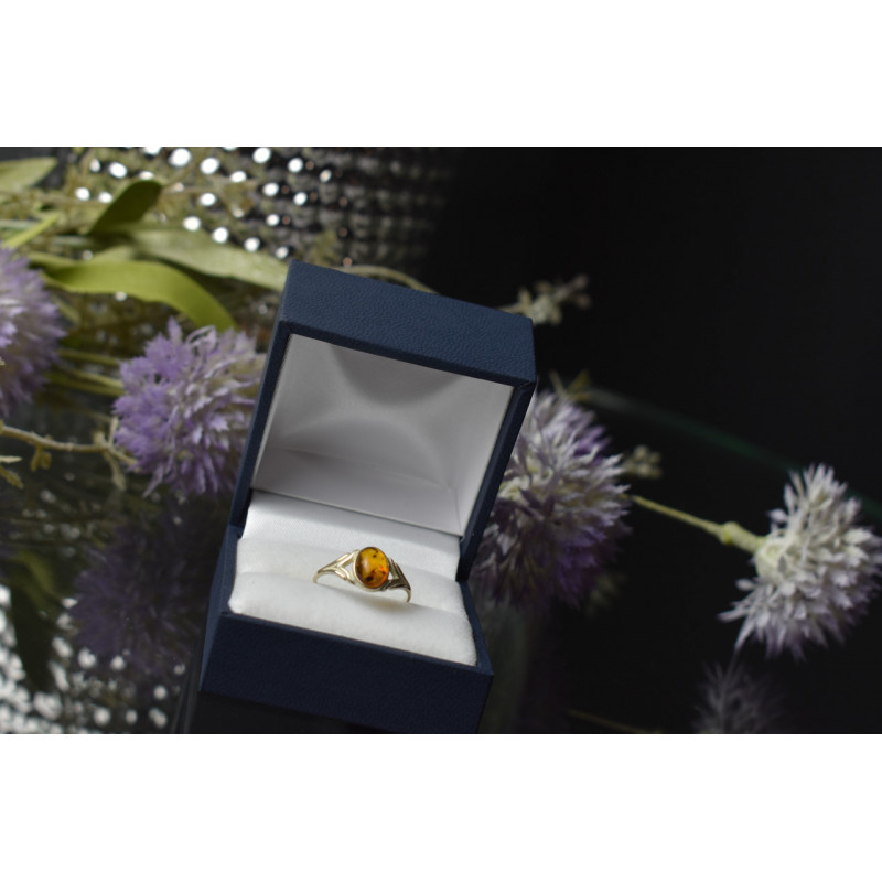 Sky Jewelry Серебряное кольцо с Янтарем