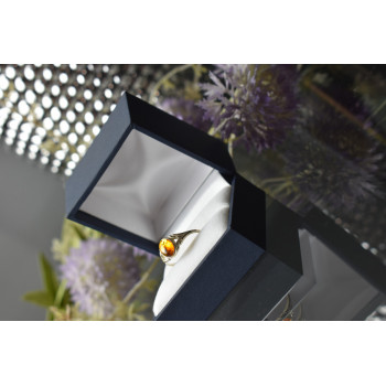 Sky Jewelry Серебряное кольцо с Янтарем