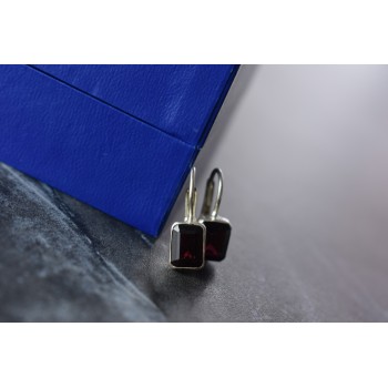 Sky Jewelry Серебряные серьги с Альмандином 925 проба