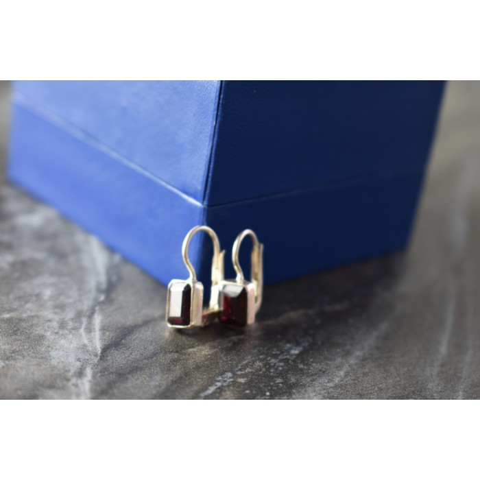 Sky Jewelry Серебряные серьги с Альмандином 925 проба