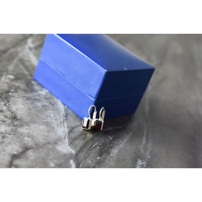 Sky Jewelry Серебряные серьги с Альмандином 925 проба