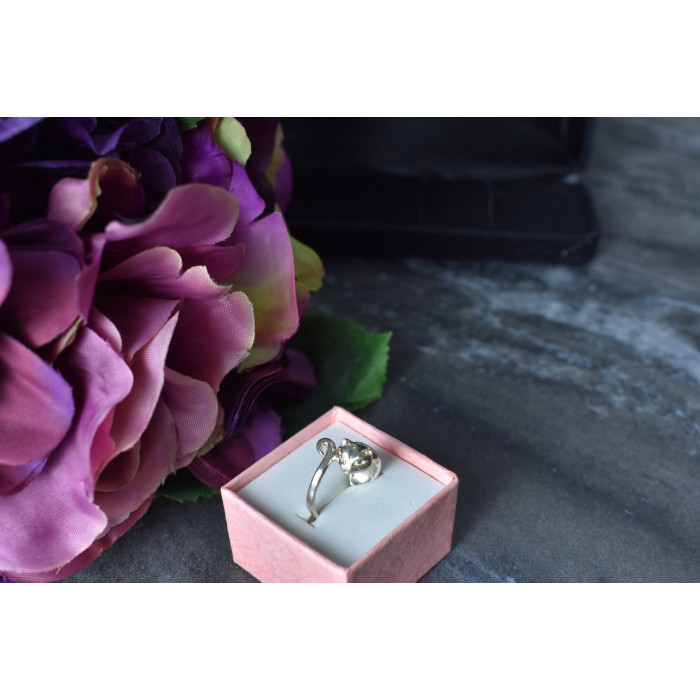 Sky Jewelry Серебряное кольцо ручной работы *Кот*