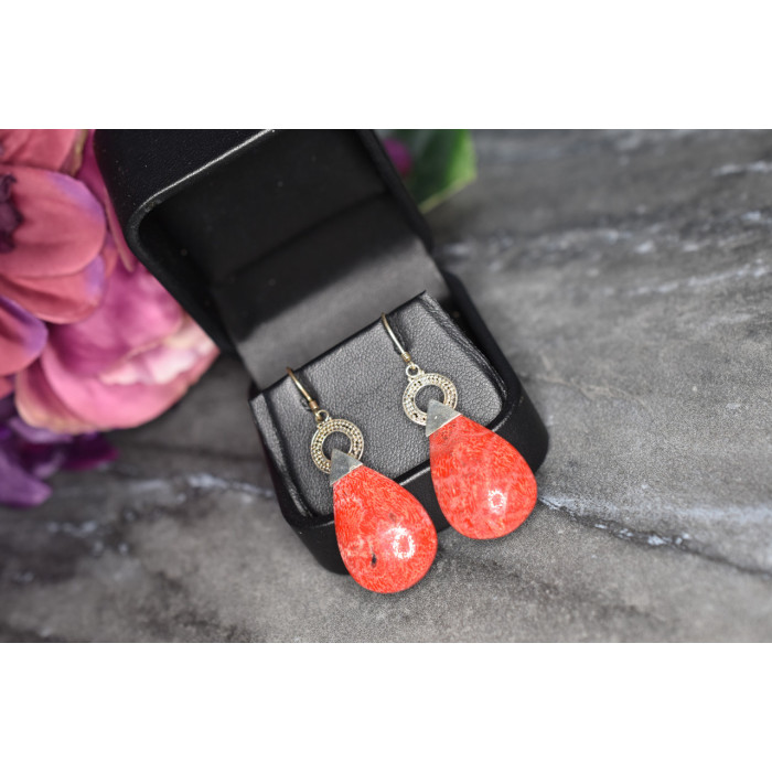 Sky Jewelry Винтажные Серебряные серьги с красной Яшмой