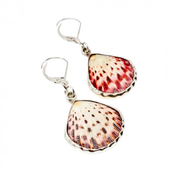 Sky Jewelry Серебряные серьги 925 пробы с Ракушкой