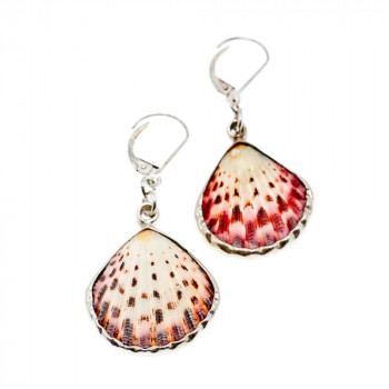 Sky Jewelry Серебряные серьги 925 пробы с Ракушкой