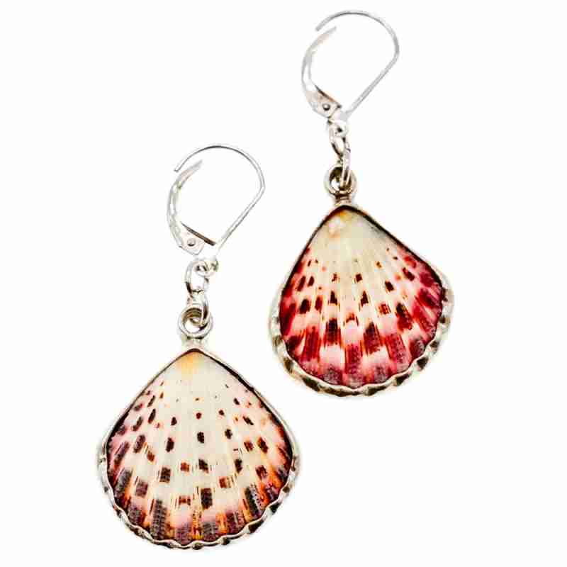 Sky Jewelry Серебряные серьги 925 пробы с Ракушкой
