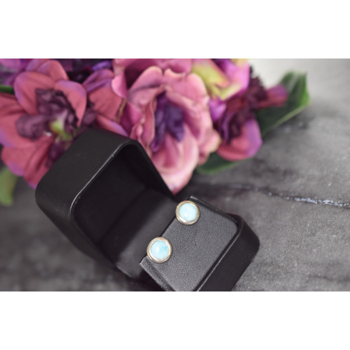 Sky Jewelry Серебряные серьги-гвоздики  с камнем Ларимар