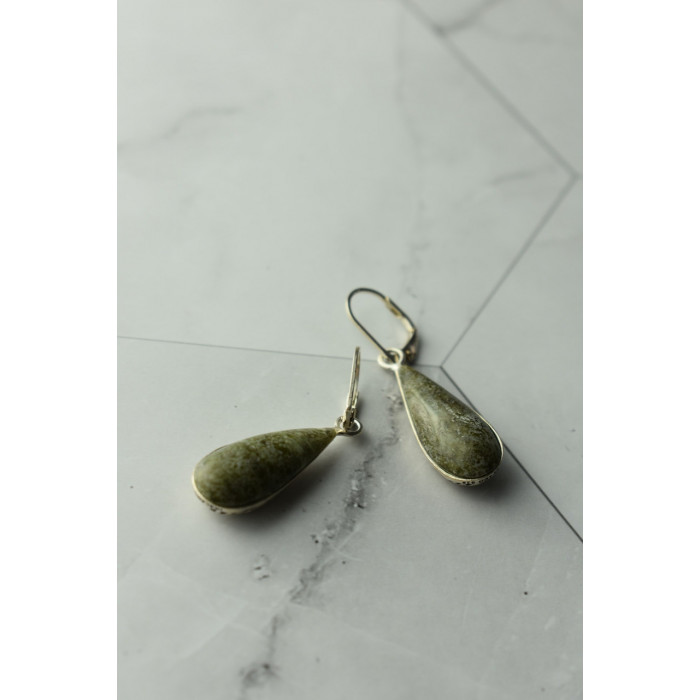 Sky Jewelry Серебряные серьги 925 пробы с зеленой  Яшмой