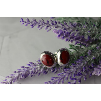Sky Jewelry Серебряные серьги-гвоздики  925 пробы с красной Яшмой
