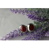 Sky Jewelry Серебряные серьги-гвоздики  925 пробы с красной Яшмой