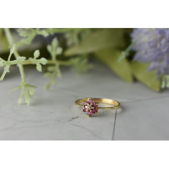 Sky Jewelry Золотое кольцо с Рубинами  и Бриллиантом 10К (417 проба)