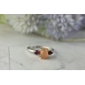 Sky Jewelry Серебряное кольцо 925 пробы с камнем Карнеол (Карнелиан) и Альмандином
