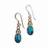 Sky Jewelry Серебряные серьги 925 пробы с Яшмой *Нежность*