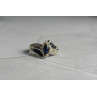 Sky Jewelry Серебряное кольцо 925 проба с синим и белым Сапфиром