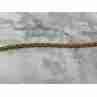 Sky Jewelry Серебряная цепочка в позолоте 925 проба / 10К (417 проба)