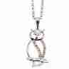 Sky Jewelry Серебряная цепочка с кулоном фианиты 925 проба *Сова