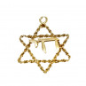 Sky Jewelry Золотой кулон Звезда Давида
