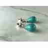Sky Jewelry Серебряные Серьги с Бирюзой 925 проба   *Женственность