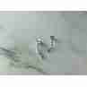 Sky Jewelry Золотые серьги-гвоздики 10К (417 проба)  с  Бриллиантами