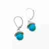 Sky Jewelry Серебряные серьги с бирюзой