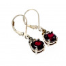 Sky Jewelry Серебряные Серьги с Альмандином и камнями Морион