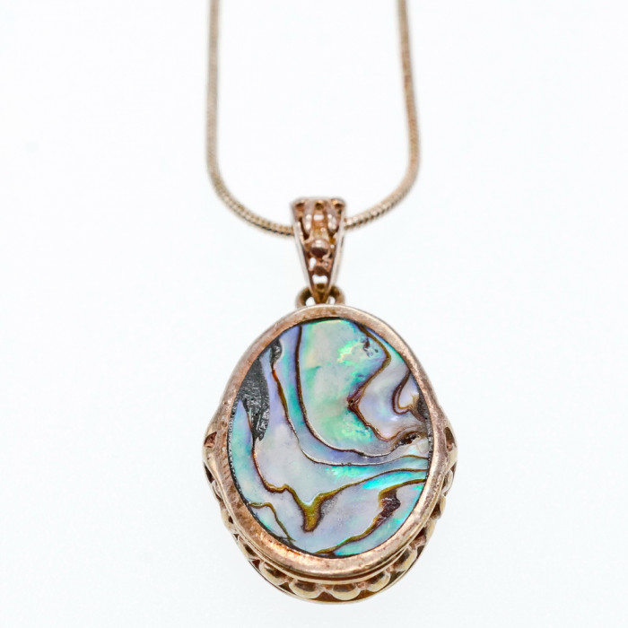 Sky Jewelry Серебряная цепочка с кулоном галиотис