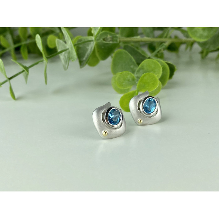 Sky Jewelry Серебряные Серьги с голубым Топазом