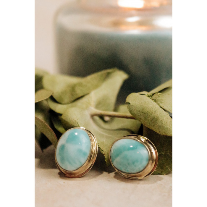Sky Jewelry Серебряные серьги с камнем ларимар
