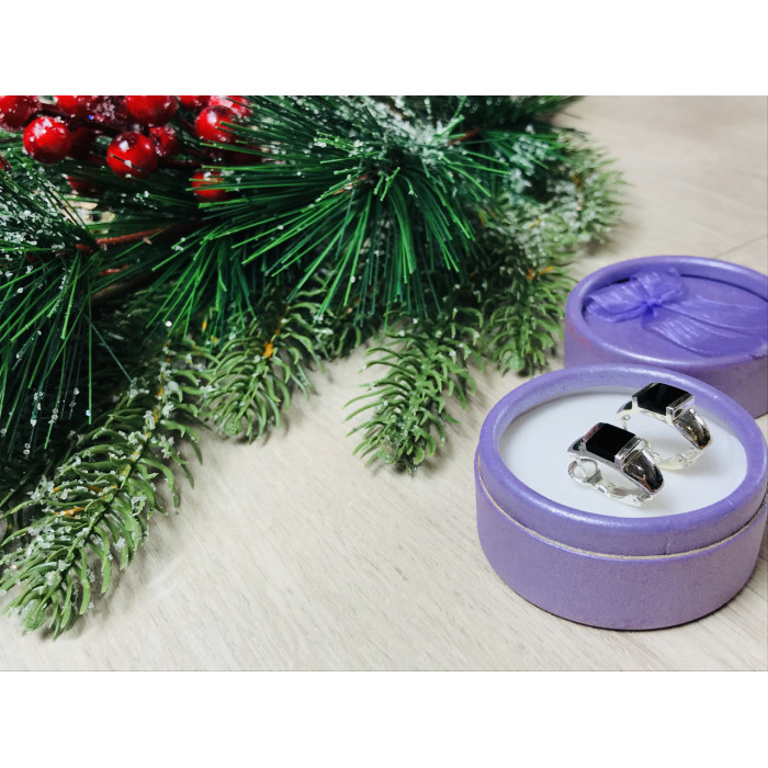 Sky Jewelry Серебряные серьги со вставками из черного Нефрита