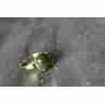 Sky Jewelry Серебряное кольцо в позолоте с Изумрудом